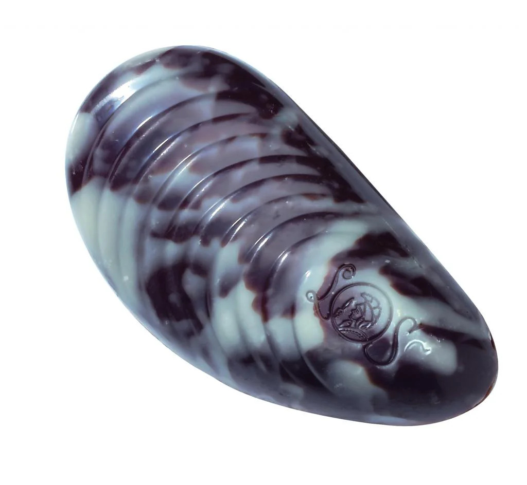 Praline Seashells, 12 Dark