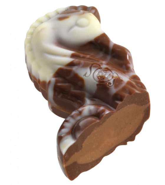 12 Praline Seashells Milk & Dark Chocolates