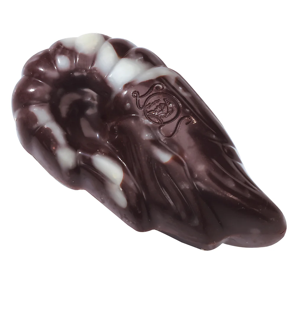 15 Milk & Dark Praline Seashells