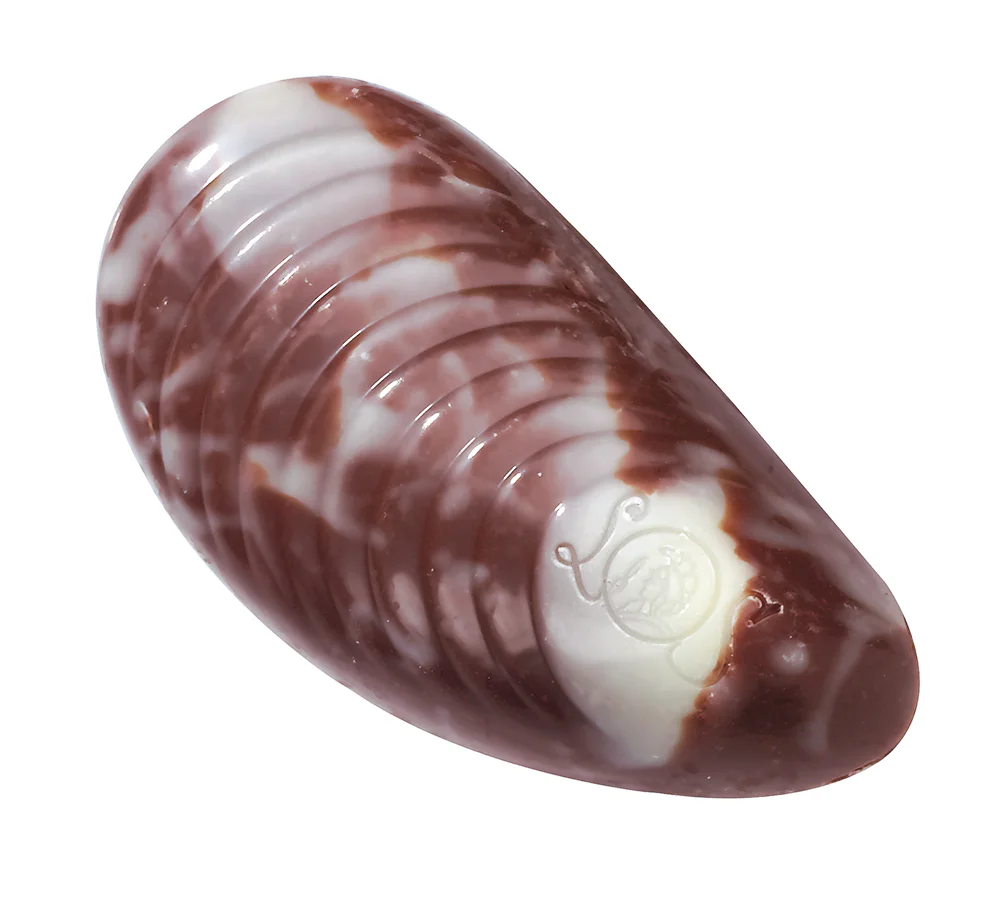 15 Milk & Dark Praline Seashells