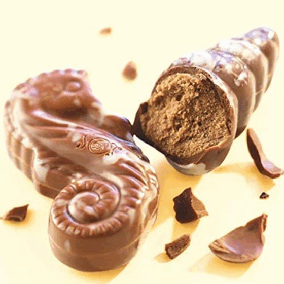 Leonidas 30 Iconic Belgian Seashell Collection – Creamy Milk & Dark Pralines - Image 4