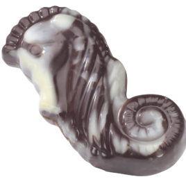 12 Leonidas Praline Milk & Dark Chocolate Sea Shells