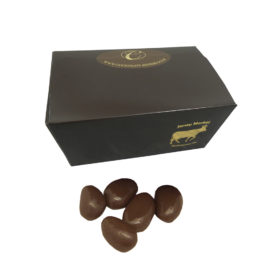 Dark Chocolate Brazil Nuts Small