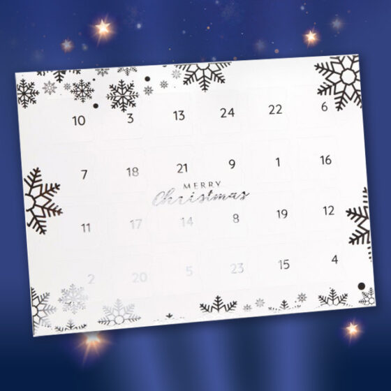 'Choose Your Own' Leonidas Advent