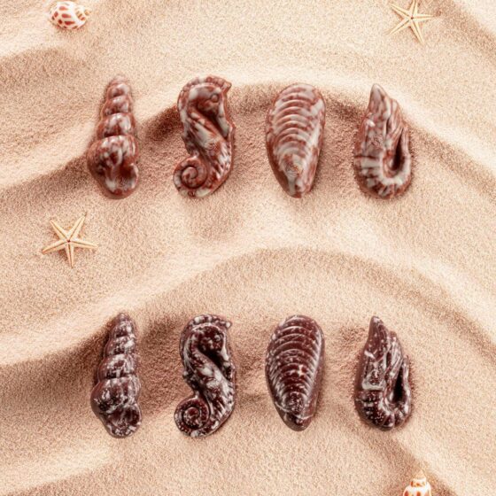 Milk & Dark Praline Chocolate Seashells - Image 2