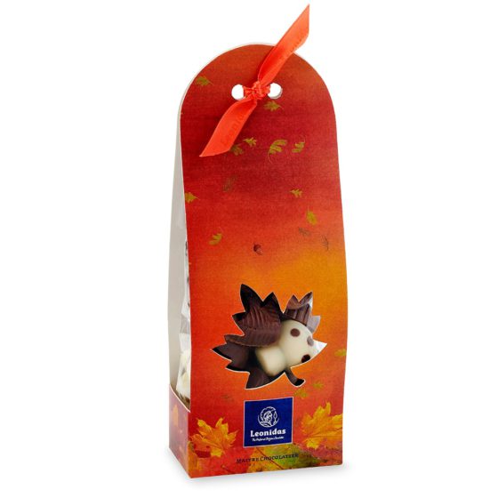 Autumnal Assorted Gift Bag