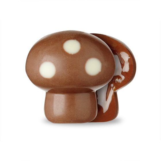 14 Milk Chocolate Caramel Mushrooms - Image 3