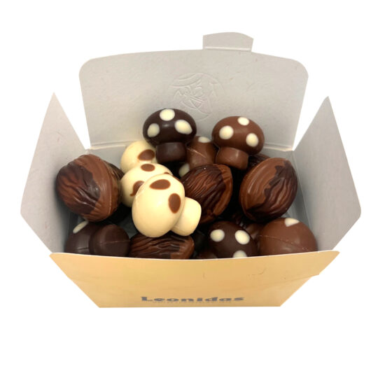 14 Assorted Autumn Chocolates