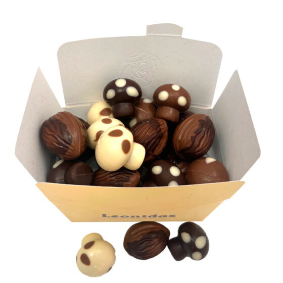 14 Assorted Autumn Chocolates - Image 2