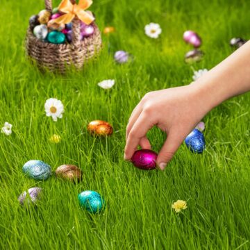 Luxury Mini Eggs