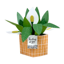 Thinking of You Pop-up Greeting Card