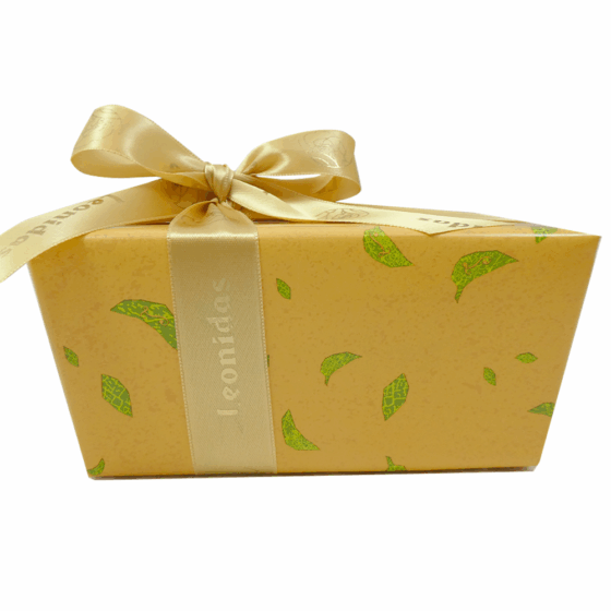 Autumn Paper