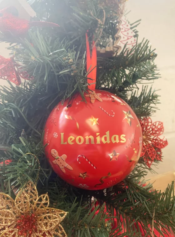 20 Choose Your Own Reindeer Balls In a Festive Bauble - Image 3