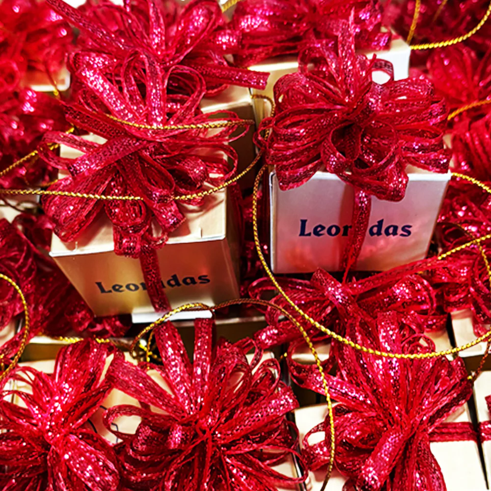 Choose Your Chocolate – Hanging Leonidas Tree Treat - Image 5