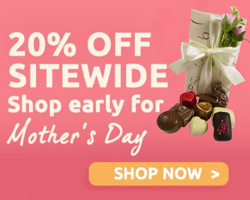 a box of leonidas chocolates wrapped in a champagne coloured paper and ribbon with a decorative pink rose and 20% off message