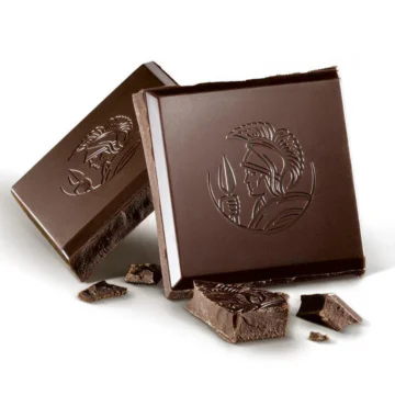 two slabs of dark chocolate