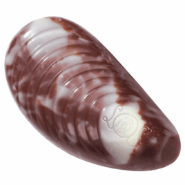 Leonidas Fruit De Mer Milk Praline chocolate shaped like seafood shell